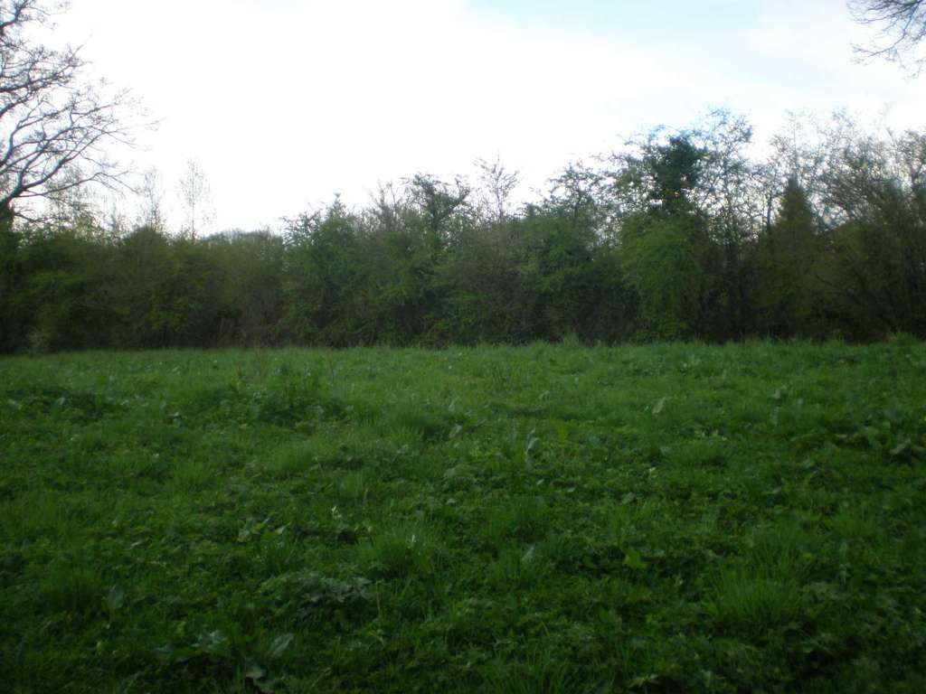 LA BRIONNE - TERRAIN CONSTRUCTIBLE