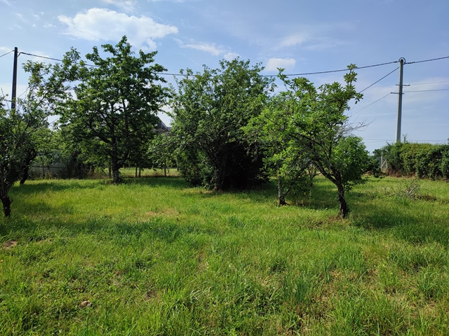 Photo INDRE - Secteur Saint Benoît du Sault image 2/6