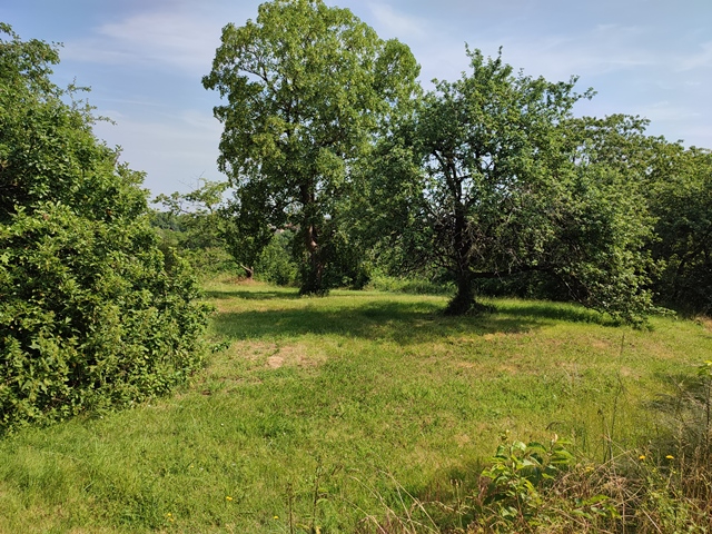 Photo INDRE - Secteur Saint Benoît du Sault image 6/6