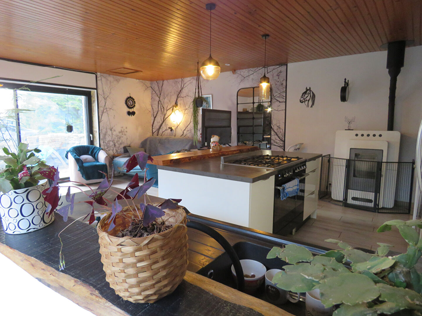 Photo PLONEOUR-LANVERN - En direction des plages image 2/6