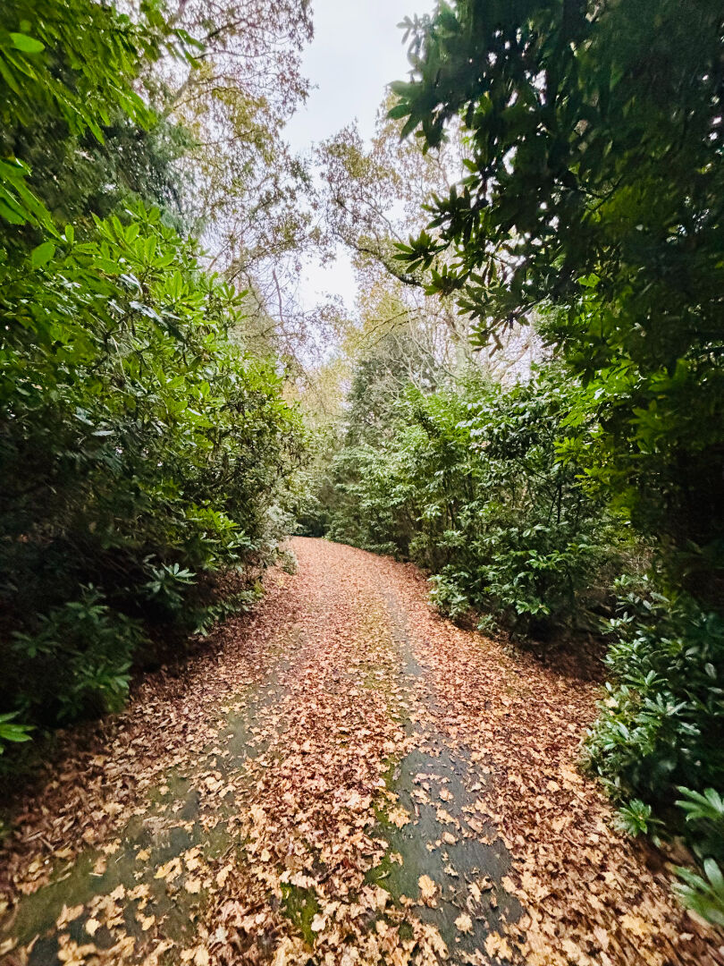 Maison Gouesnach 5 pièce(s) 155 m2