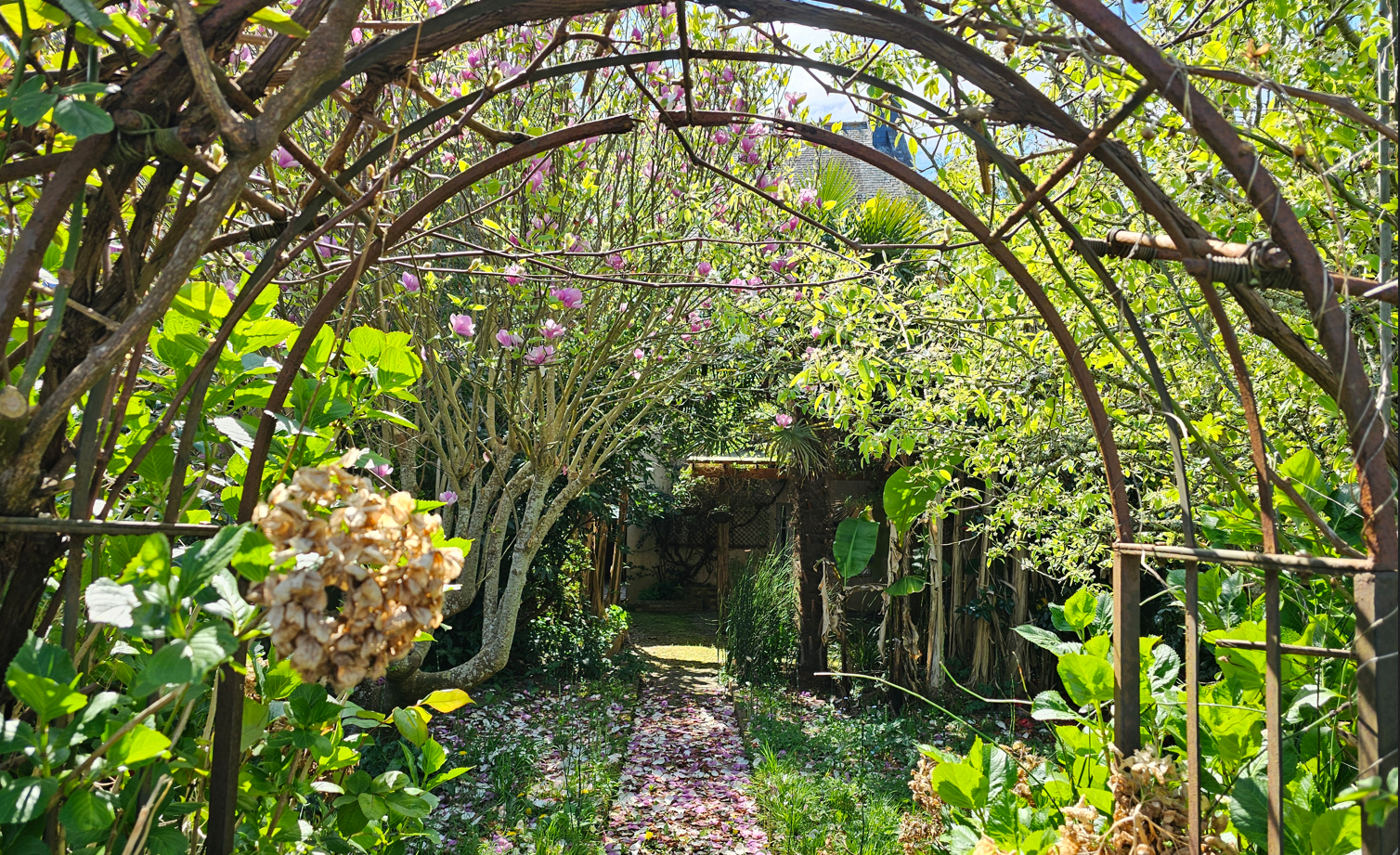 Photo LE HALAGE, Quimper centre ville à pied image 4/6
