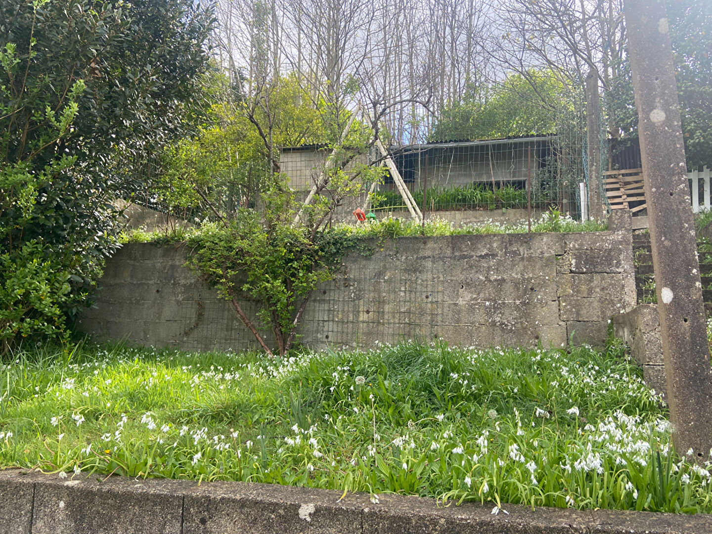 Photo QUIMPER Maison coup de coeur image 5/6