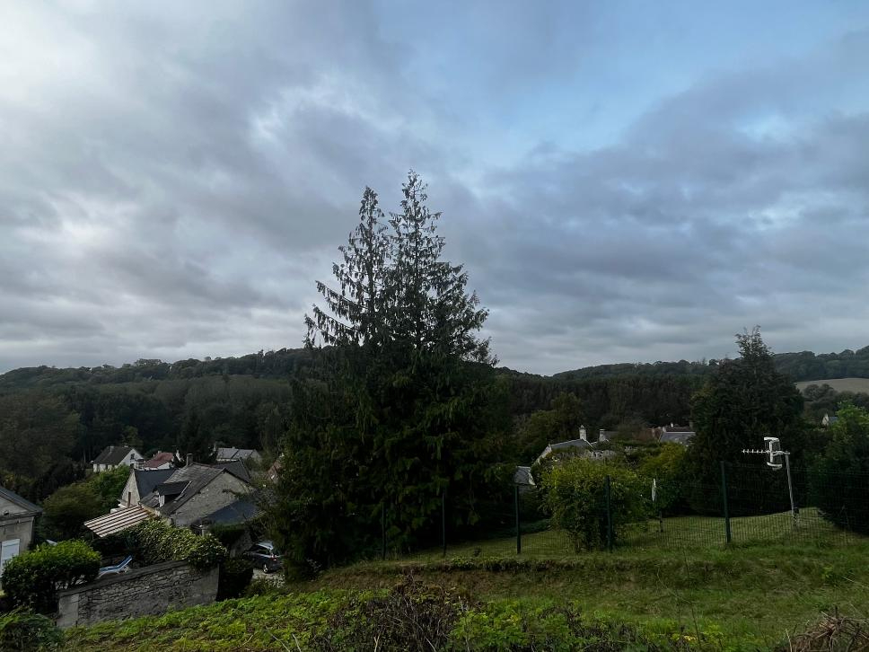 Agence immobilière de Agence de la Salamandre