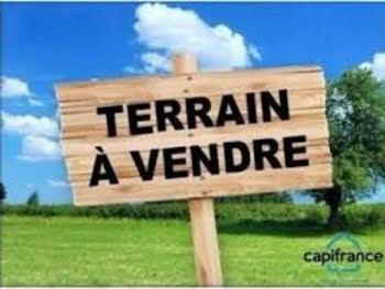 Agence immobilière de Agence de la Salamandre