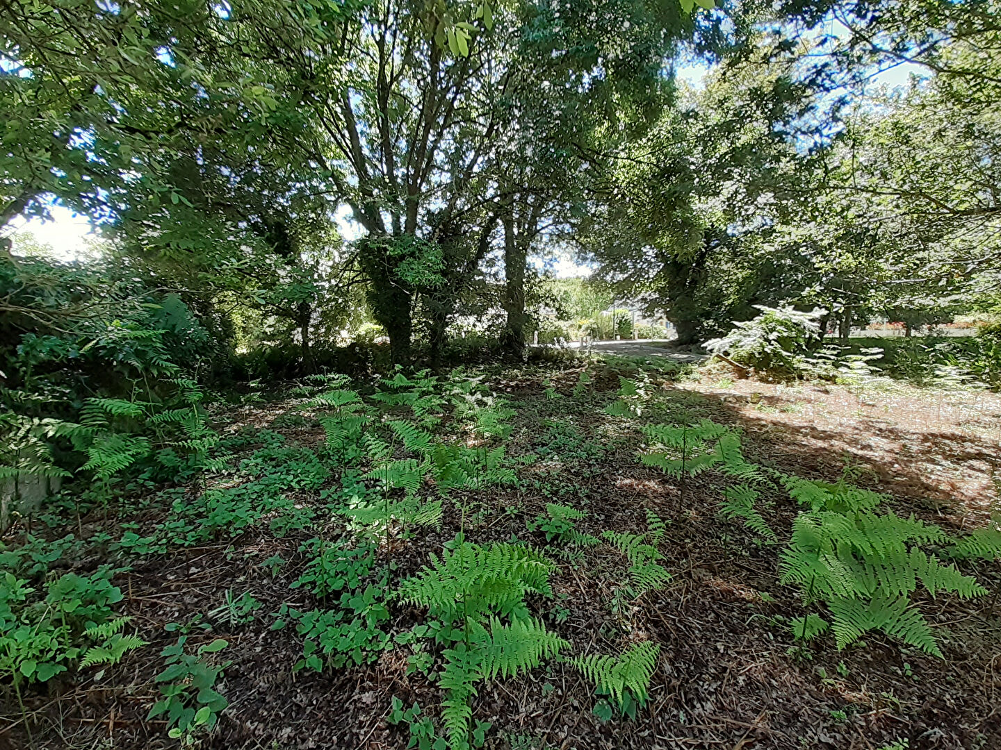 Brech terrain de 3170 m2 dont 294 m2 constructibles