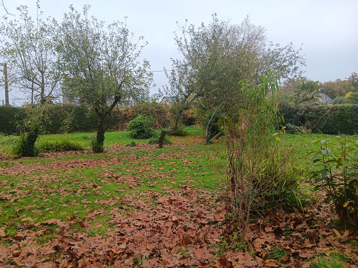 Languidic terrain constructible de 905 m2