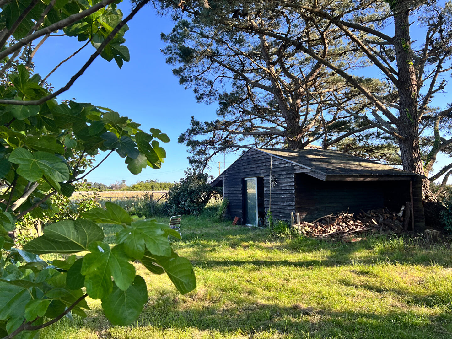 Photo Maison  6 pièce(s) 202 m2 image 3/6