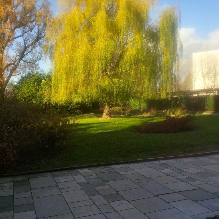 image du bien