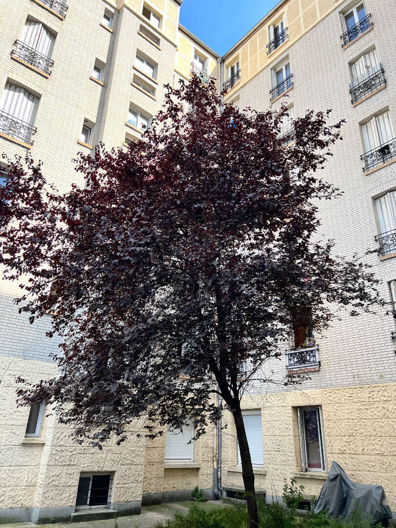 Agence immobilière de CARNOT IMMOBILIER