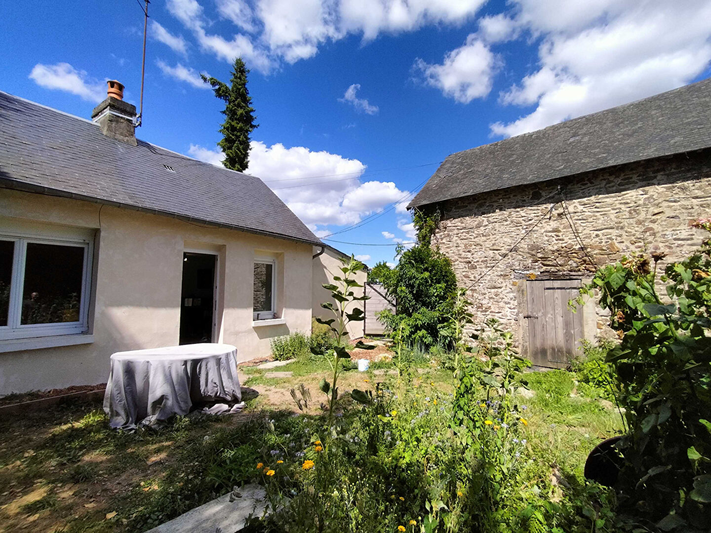 Agence immobilière de IMMOBILIER DES DEUX RIVES - IMMOBILIER DES DEUX RIVES