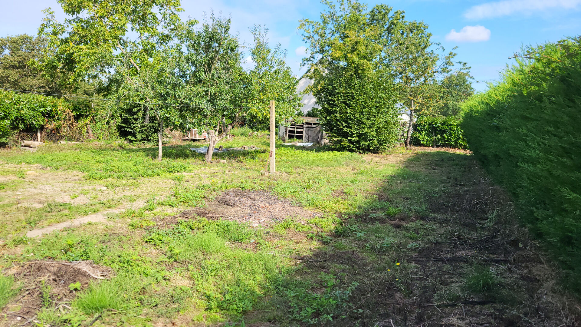 Terrain constructible