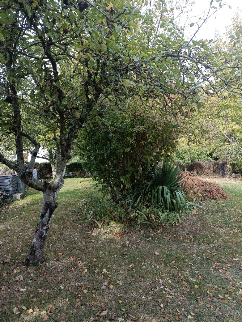 Photo Maison familiale image 5/6