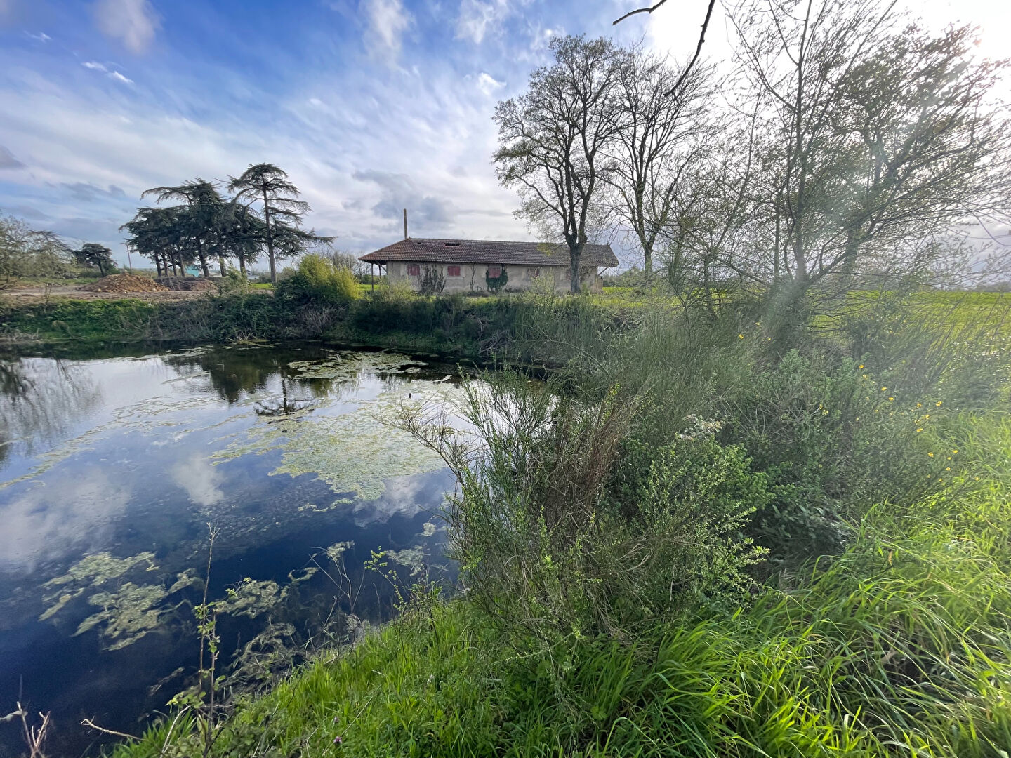 Maison Ingrandes Le Fresne Sur Loire 2 pièce(s) 126 m2