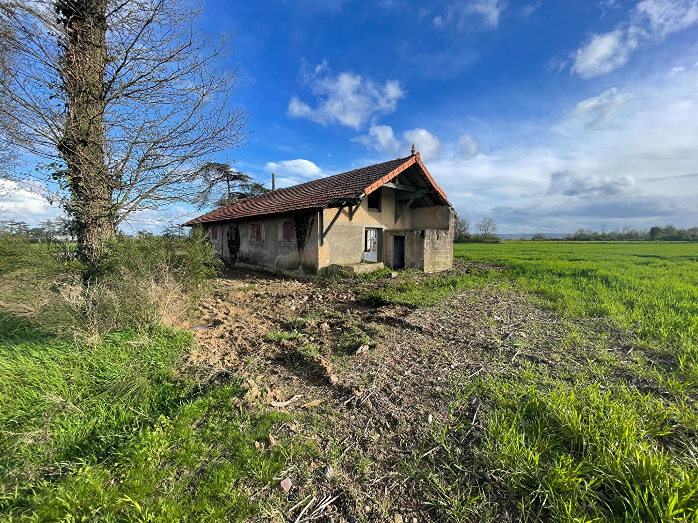 Photo Maison Ingrandes Le Fresne Sur Loire 2 pièce(s) 126 m2 image 2/6
