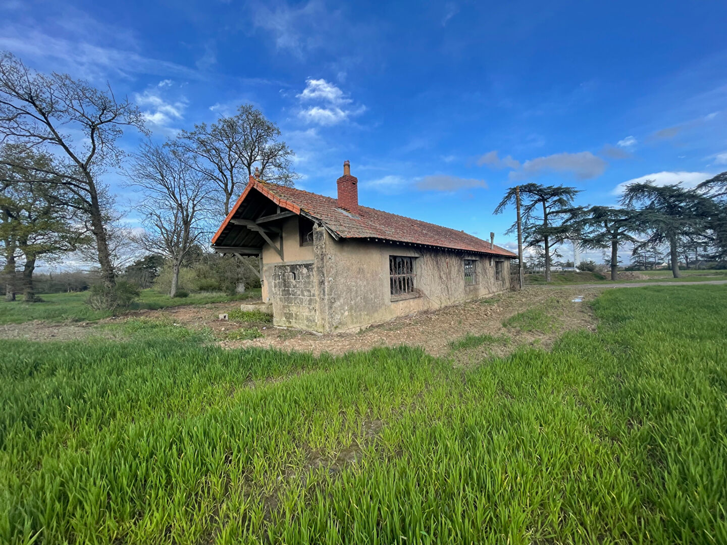 Photo Maison Ingrandes Le Fresne Sur Loire 2 pièce(s) 126 m2 image 3/6