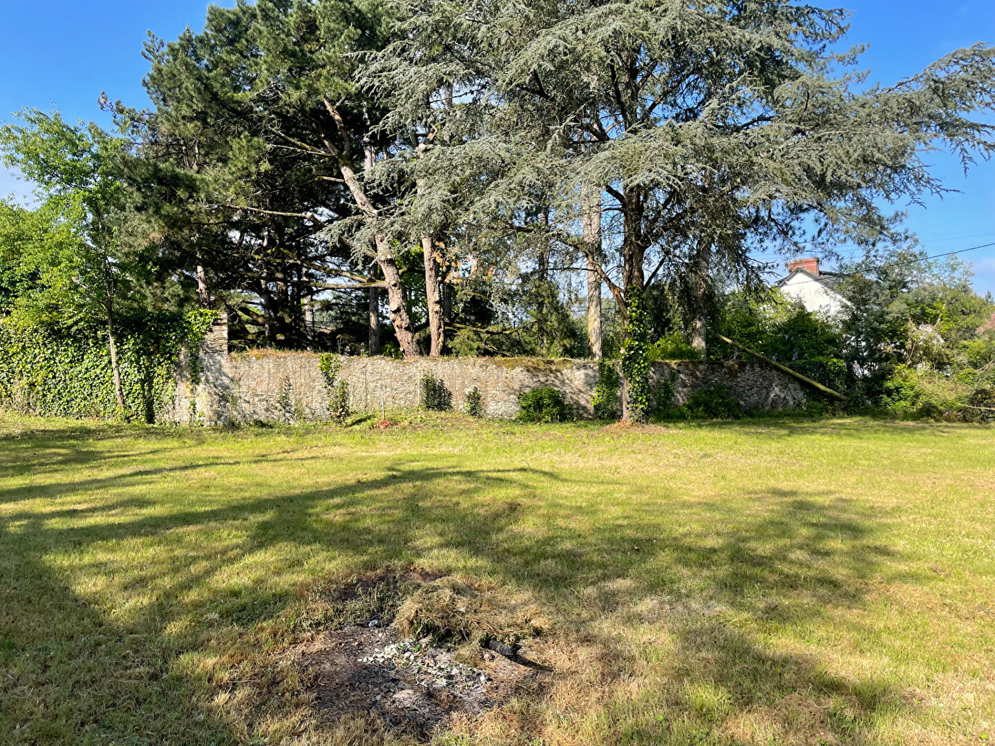 Photo Terrain proche du bourg d'Oudon image 2/3