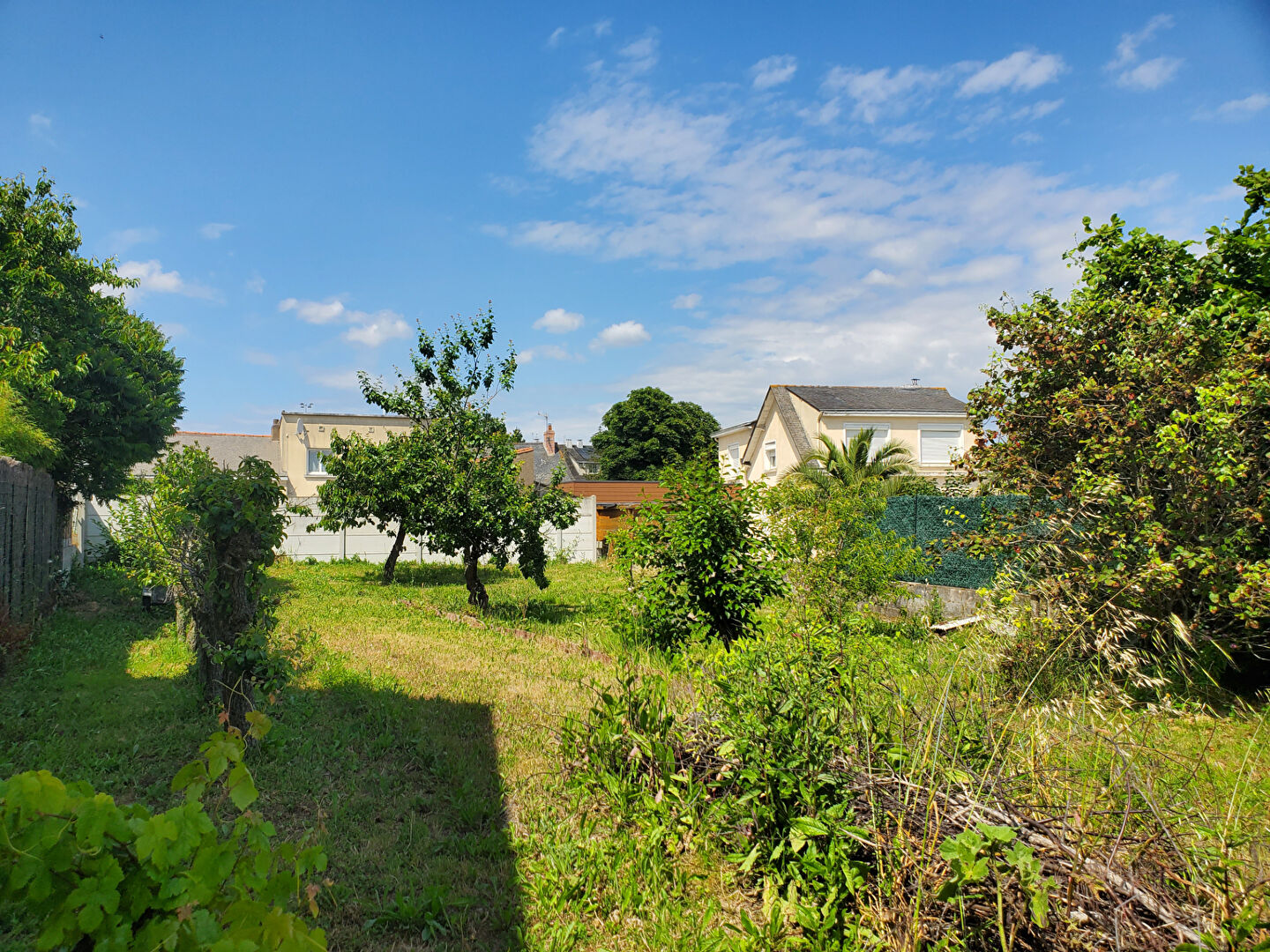 Photo Terrain constructible à Varades image 3/4