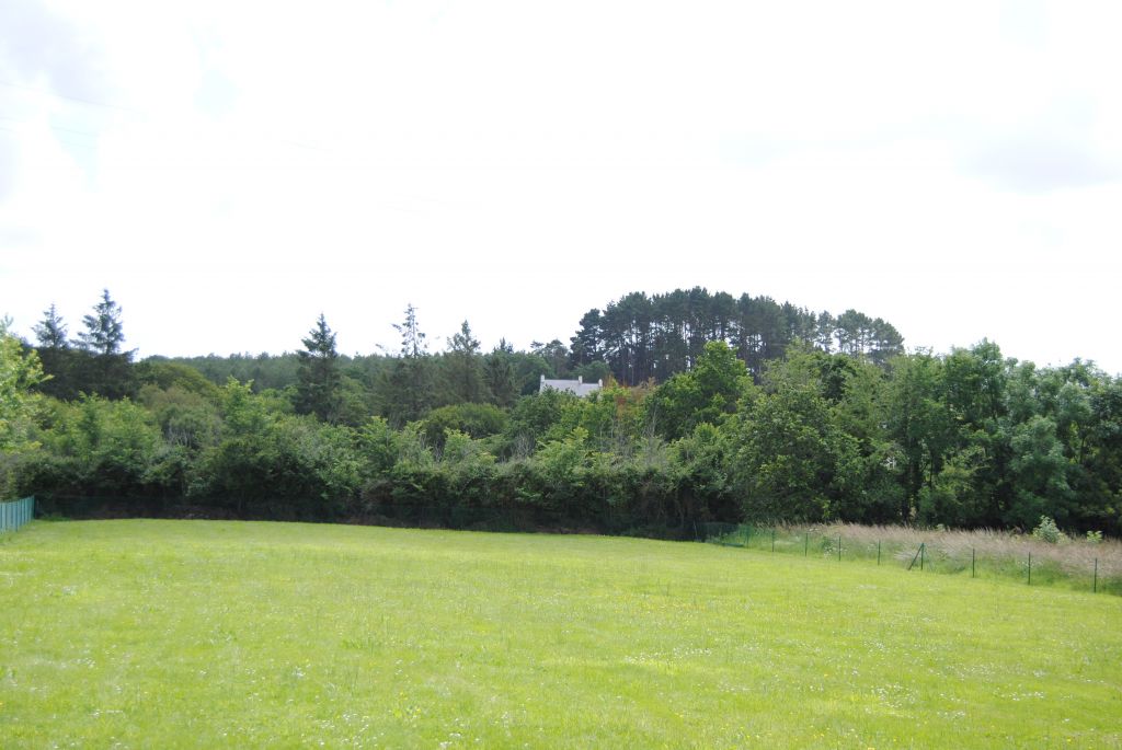 Photo VUE MER image 6/6