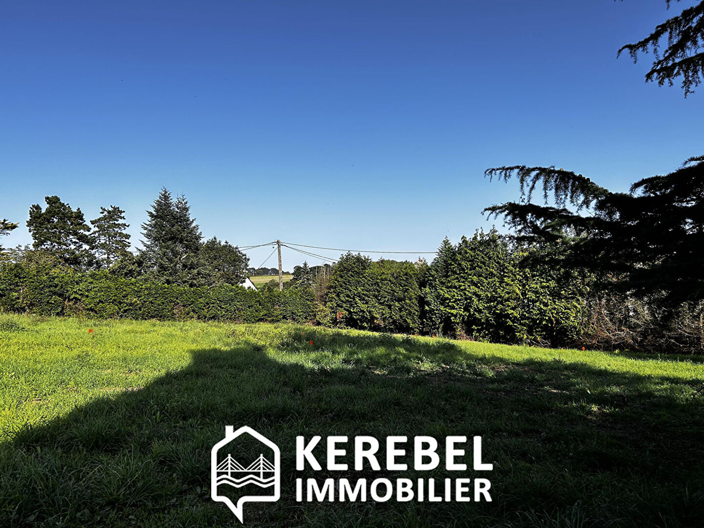 Photo Entre 472 m² et 1224 m² image 2/5