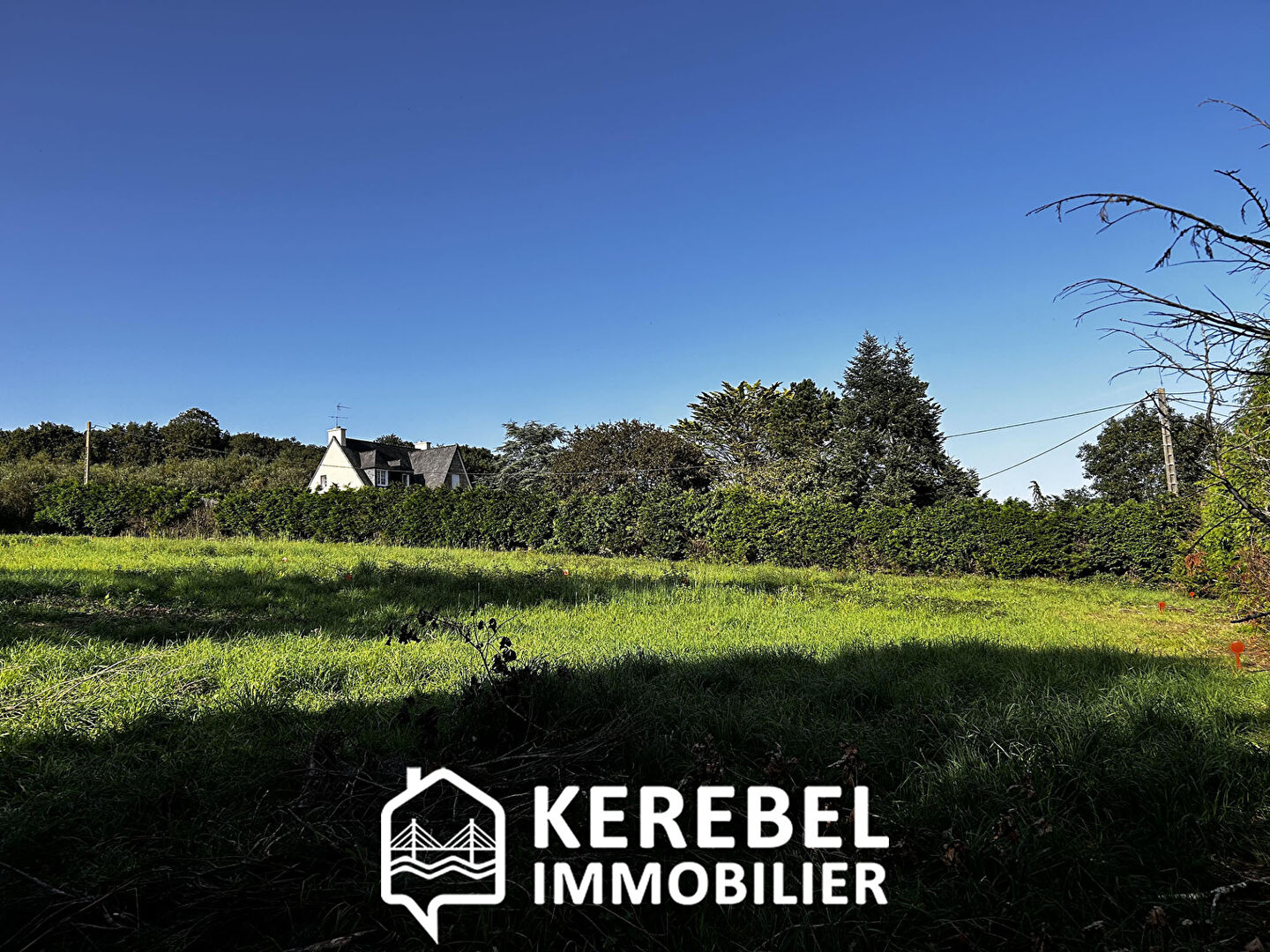 Photo Entre 472 m² et 1224 m² image 4/5