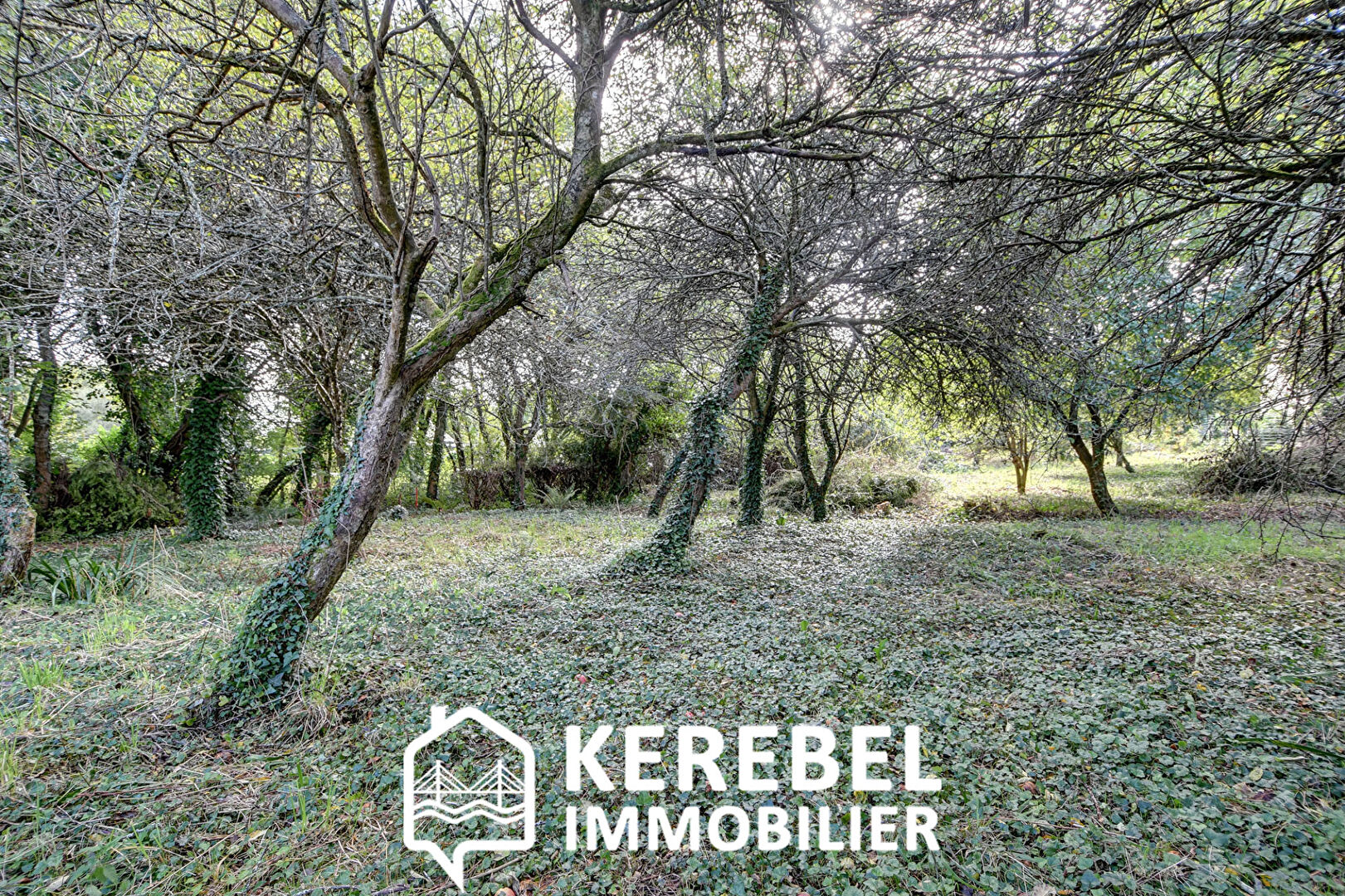 Photo 900 m ² Secteur Porz Gwenn image 2/3