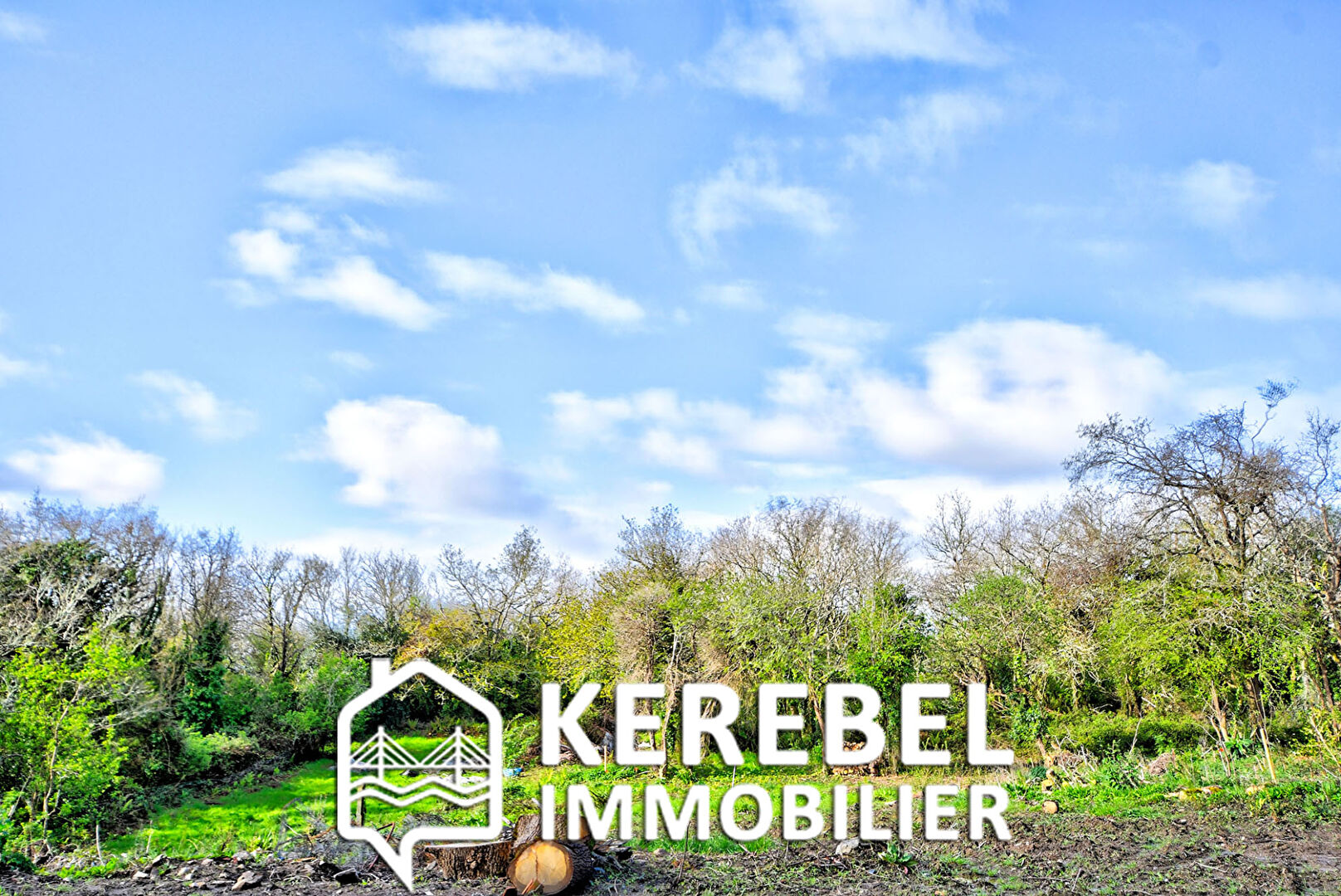 Photo SECTEUR TINDUFF image 2/3