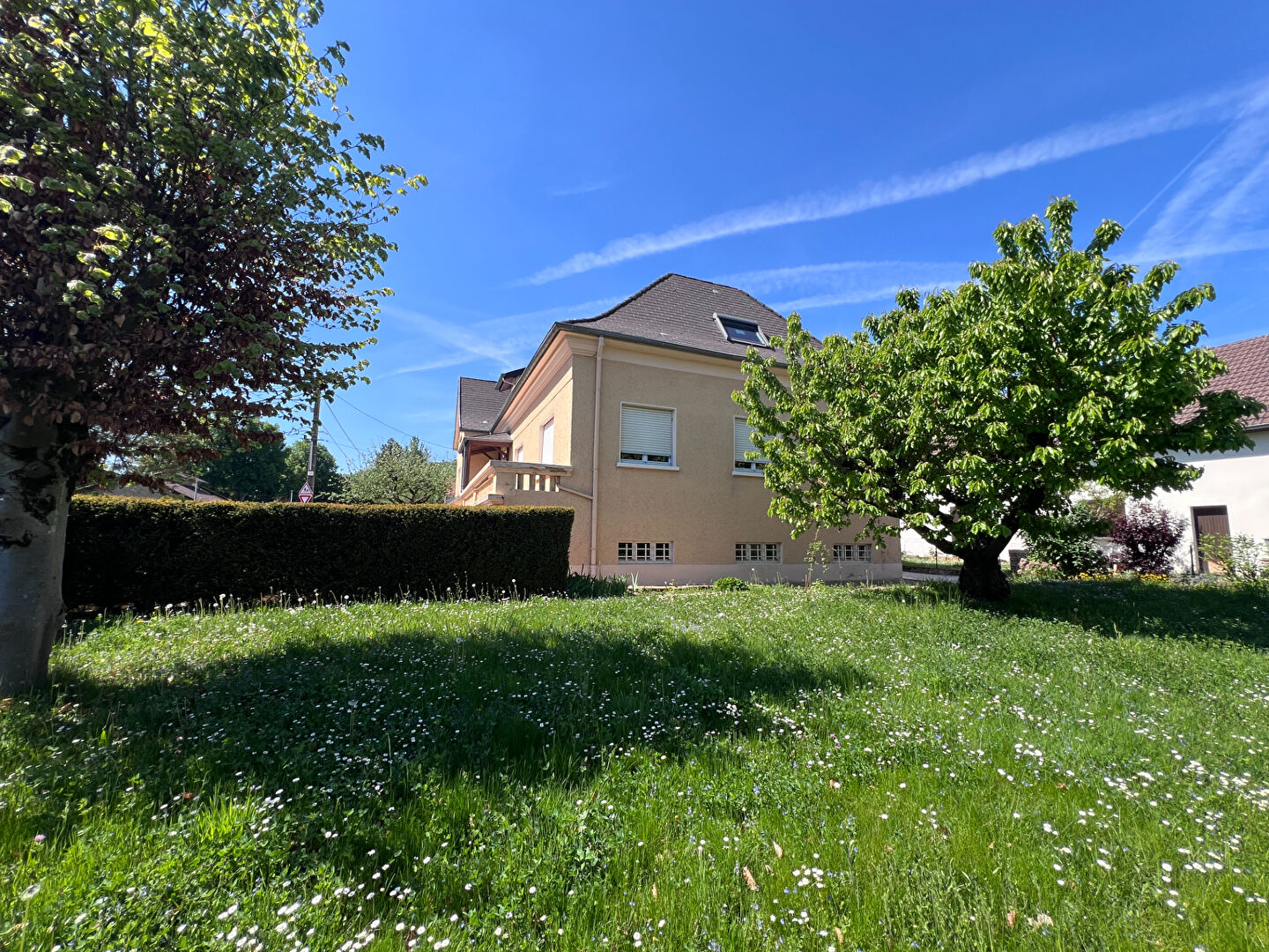 Agence immobilière de AGENCE POUR LA PROMOTION IMMOBILIERE (APRIM)