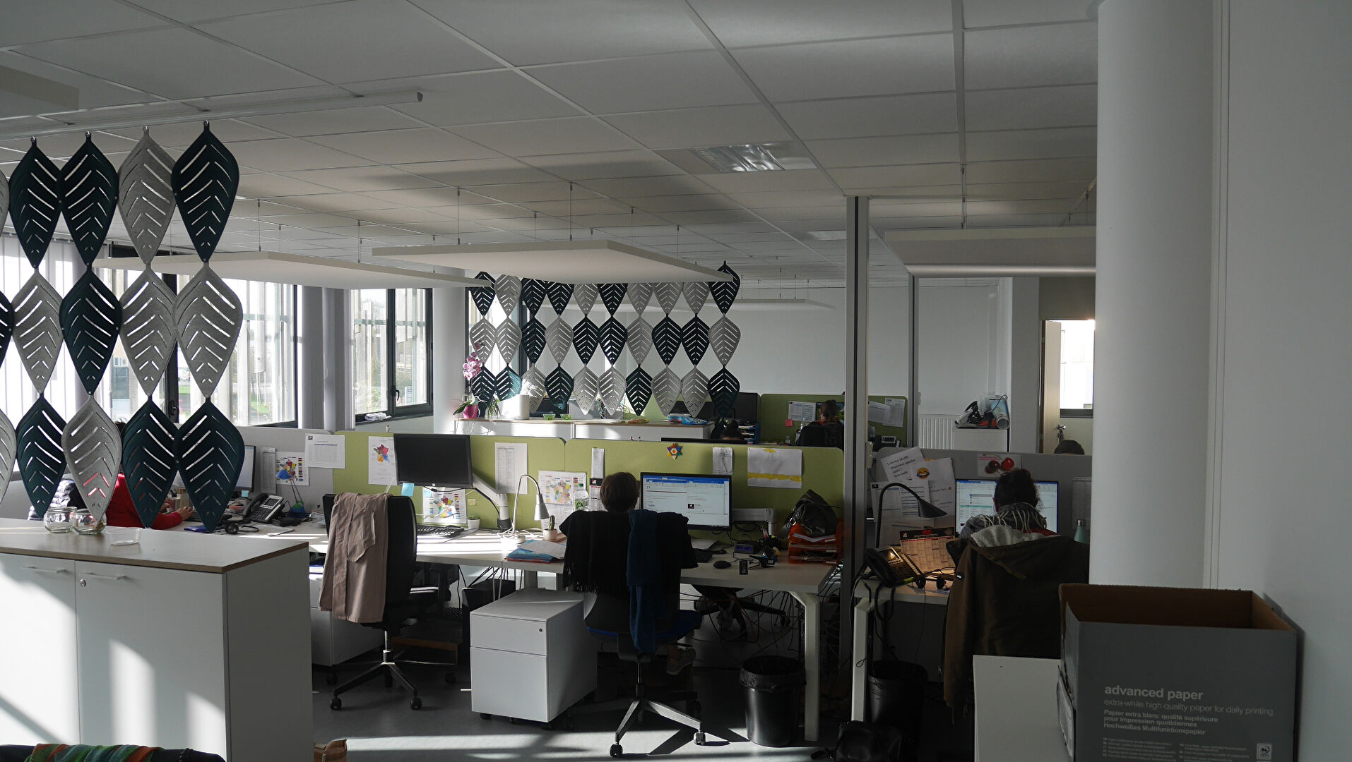 Bureaux La Roche Sur Yon 255 m2