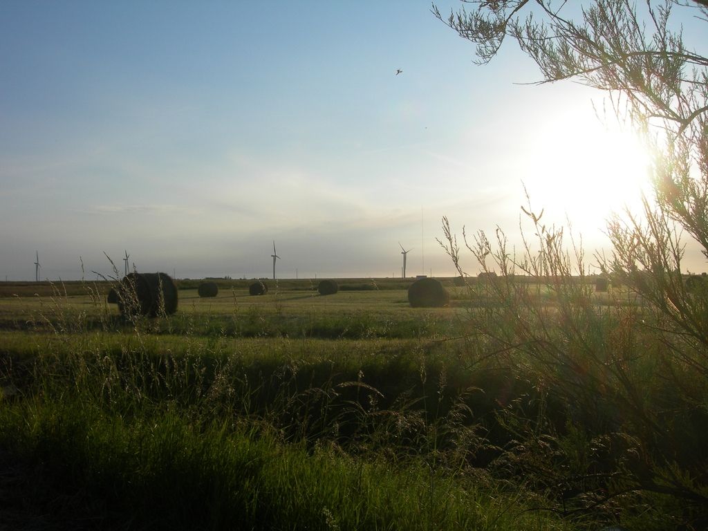 Photo LE POIRE SUR VIE image 1/1