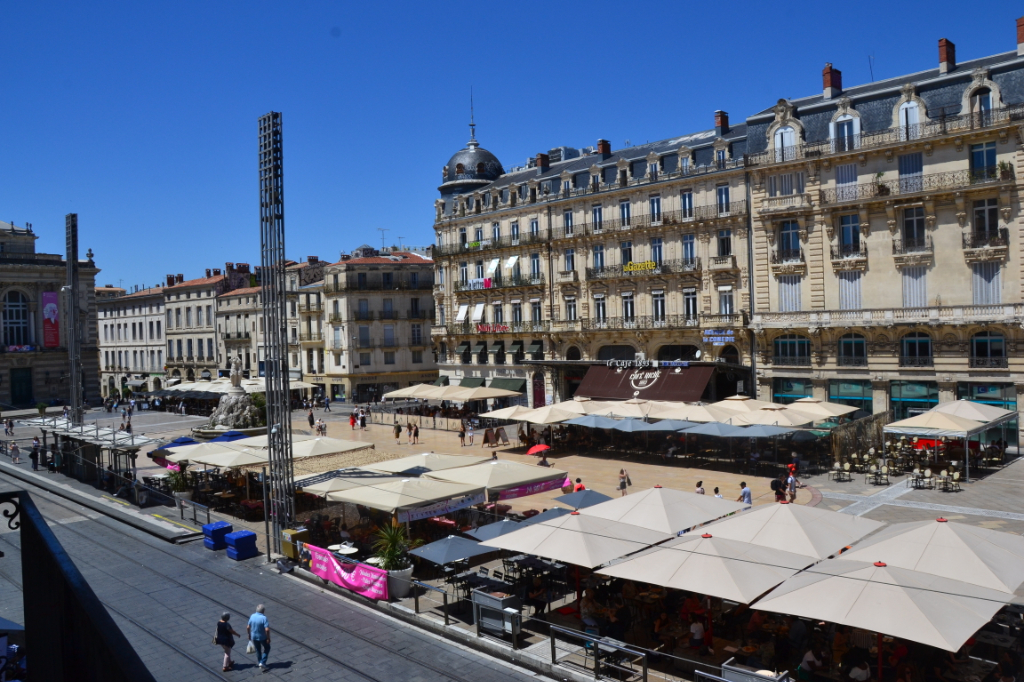 Agence immobilière de D'AVILA IMMOBILIER Saint Georges d'Orques - D'AVILA IMMOBILIER
