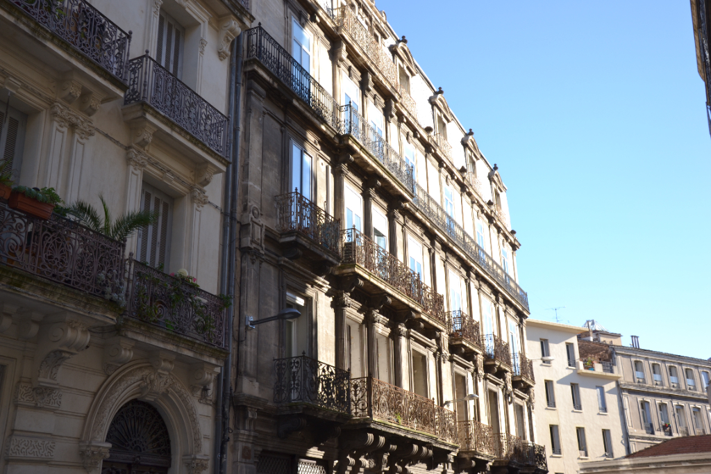 Agence immobilière de D'AVILA IMMOBILIER Saint Georges d'Orques - D'AVILA IMMOBILIER