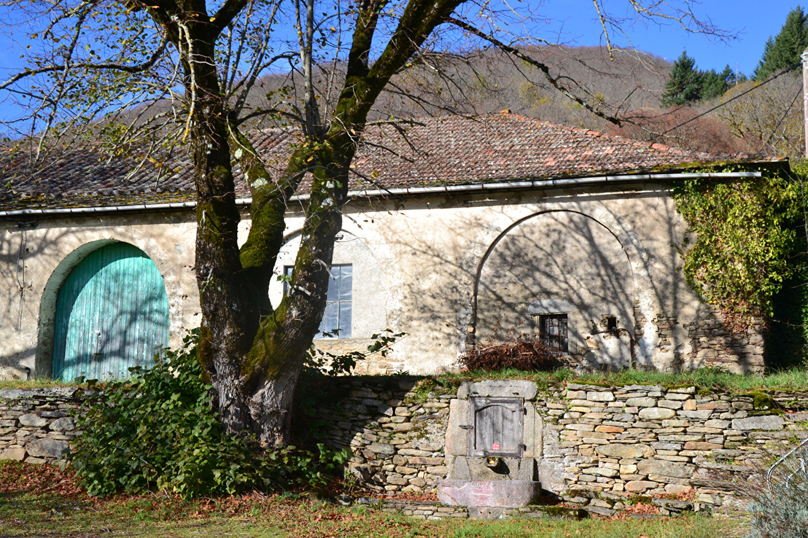 Agence immobilière de D'AVILA IMMOBILIER Saint Georges d'Orques - D'AVILA IMMOBILIER