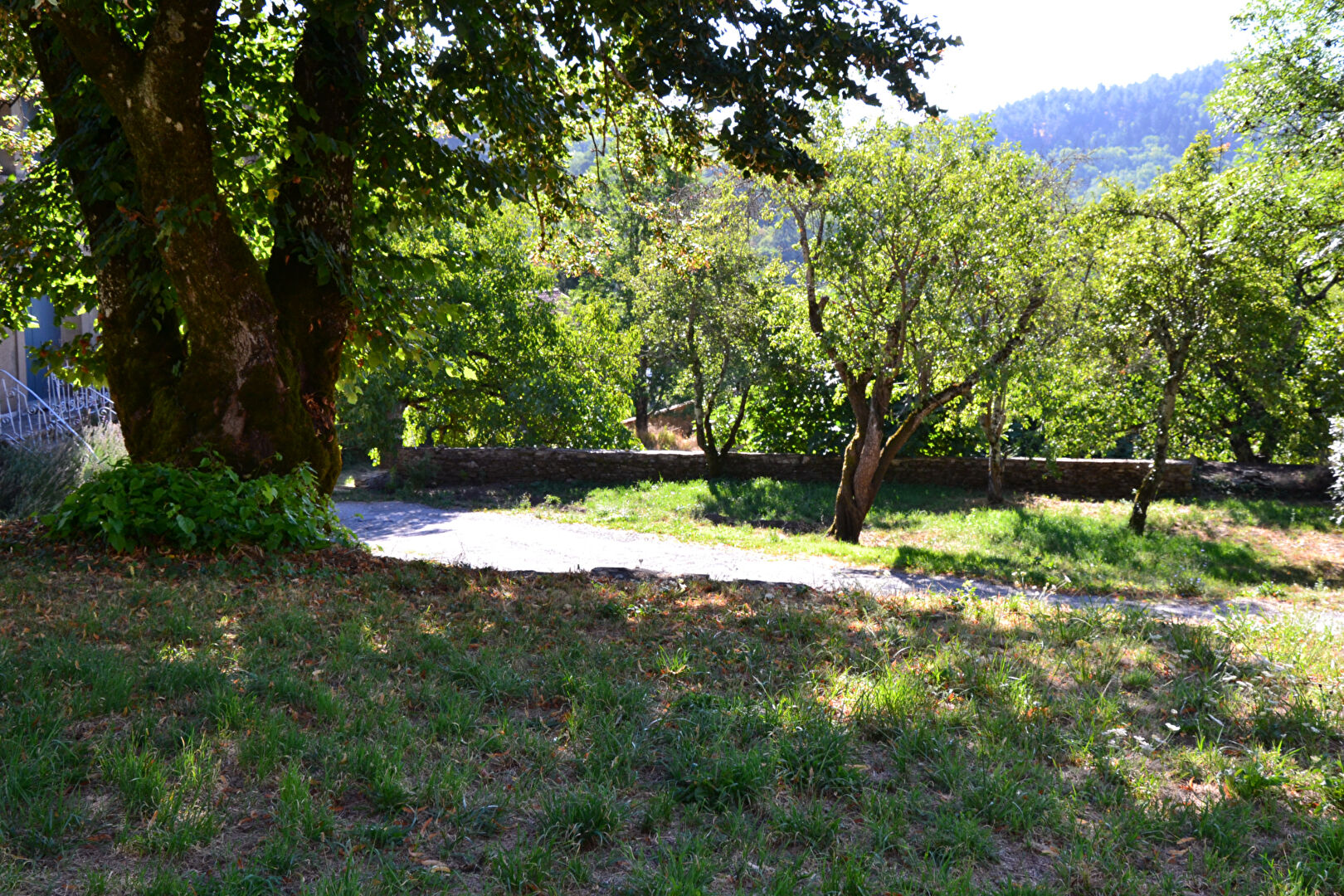 Photo Courniou parc du haut Languedoc bâtisse ancienne de 200m² avec terrain de 510 m² image 3/6
