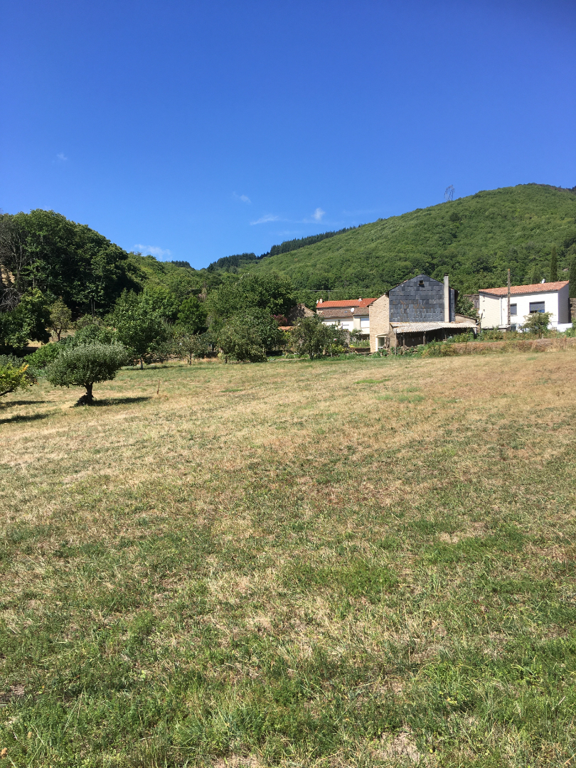 Agence immobilière de D'AVILA IMMOBILIER Saint Georges d'Orques - D'AVILA IMMOBILIER