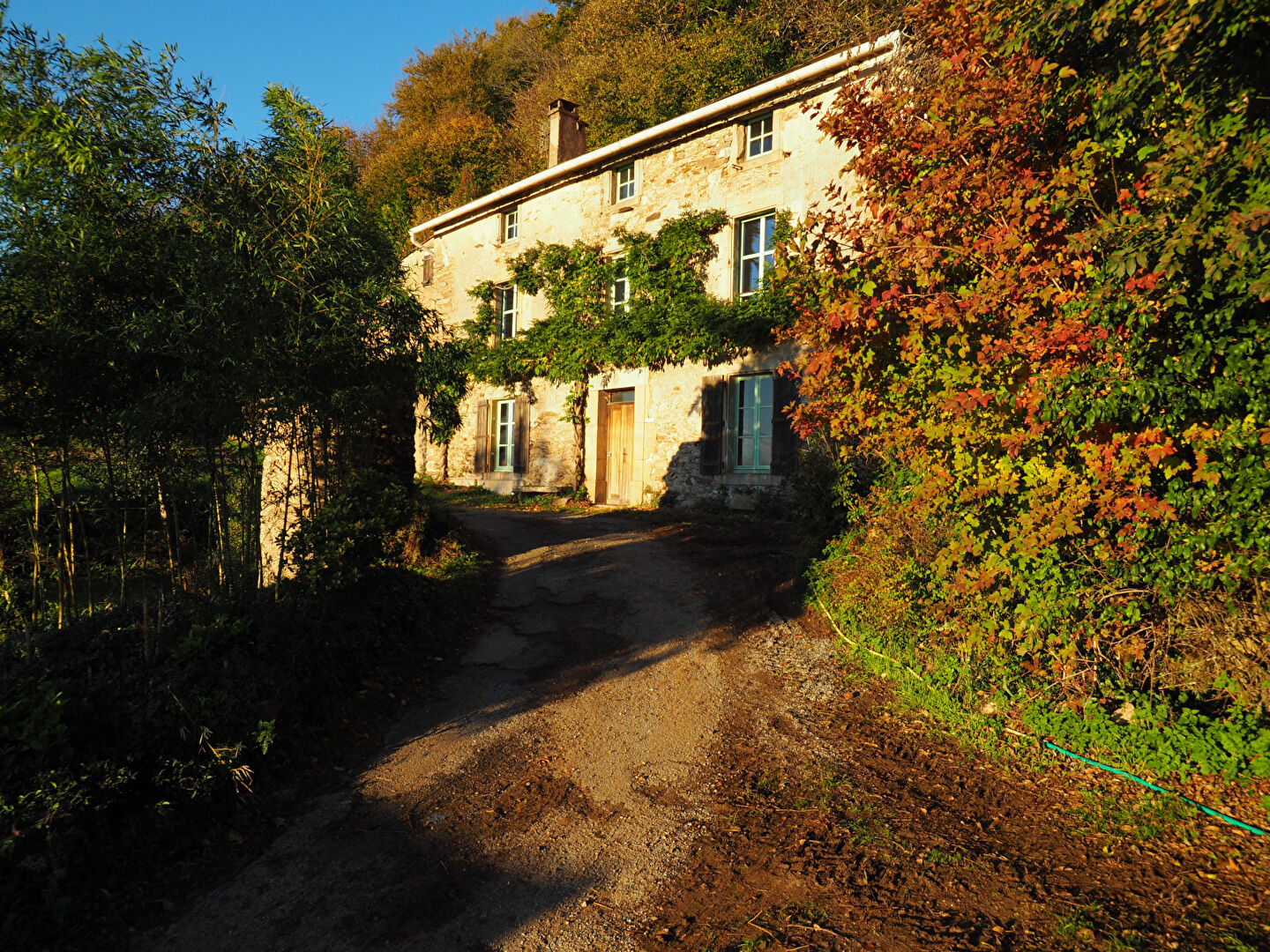 Agence immobilière de D'AVILA IMMOBILIER Saint Georges d'Orques - D'AVILA IMMOBILIER