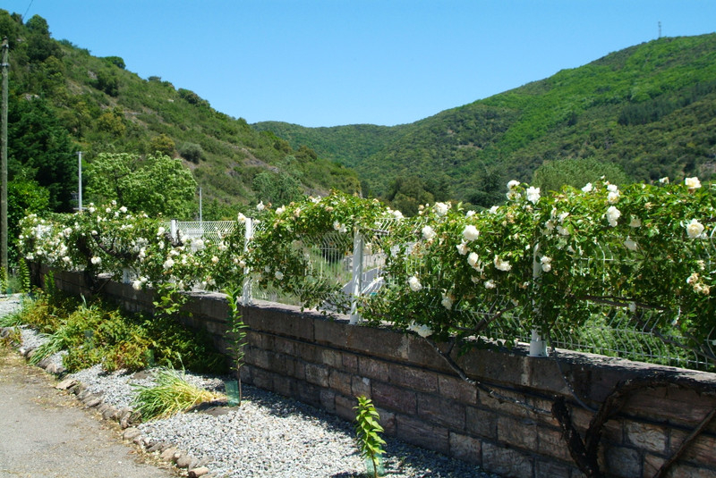 Photo VENDU   Saint Pons De Thomieres maison en pierre de 300m² sur 2660 m² de terrain image 5/6