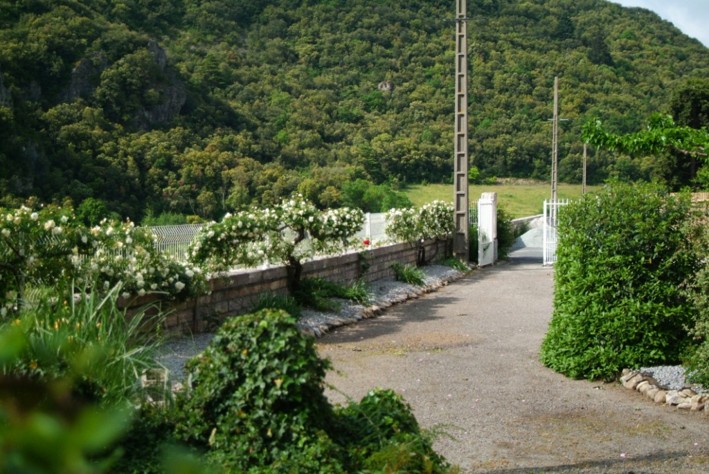Photo VENDU   Saint Pons De Thomieres maison en pierre de 300m² sur 2660 m² de terrain image 6/6