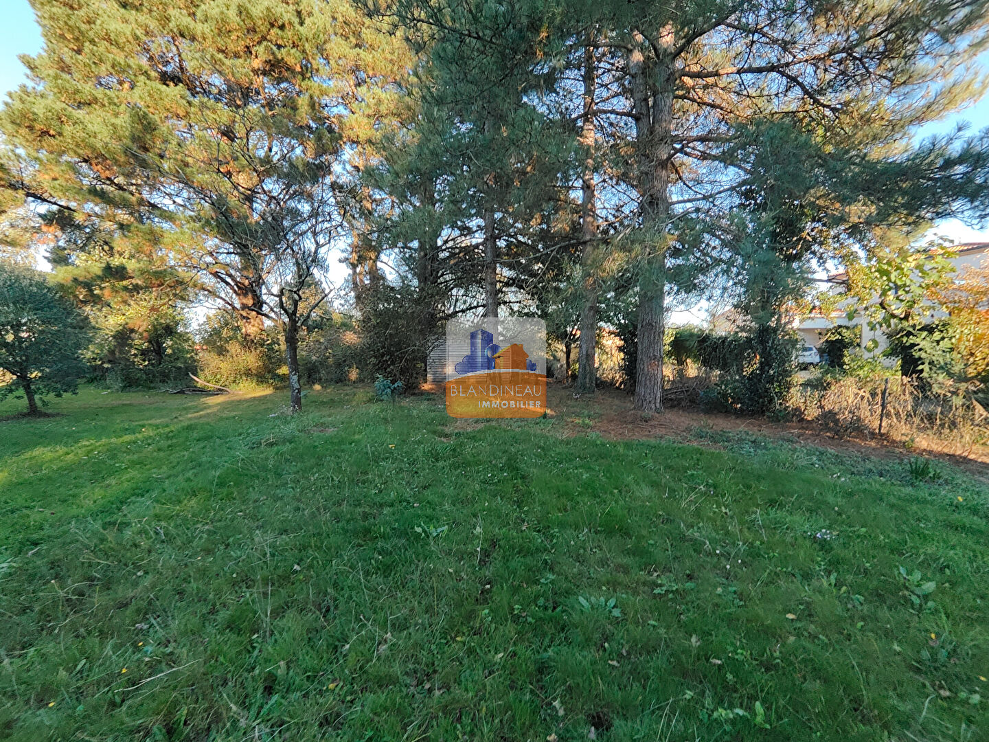 Agence immobilière de Blandineau Immobilier