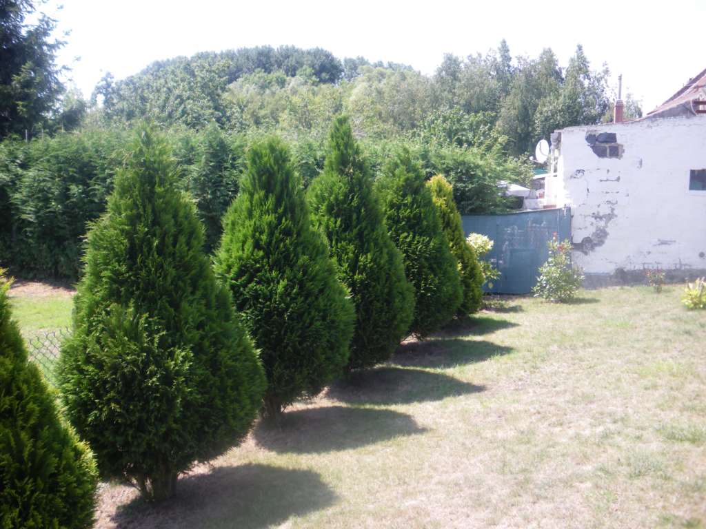 Photo Maison Roost-warendin - 4 Pièce(s) - 80 M2 image 5/6