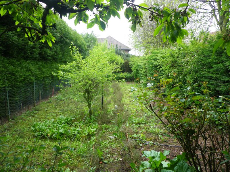 Photo Maison Henin Beaumont 5 pièce(s) 90 m2 image 3/3