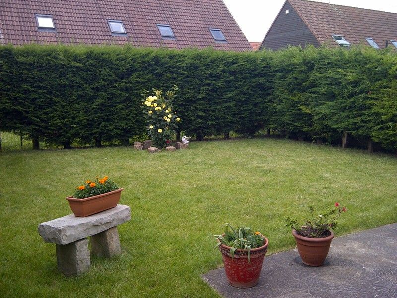 Photo Maison Noyelles Godault 100 m2 image 3/3