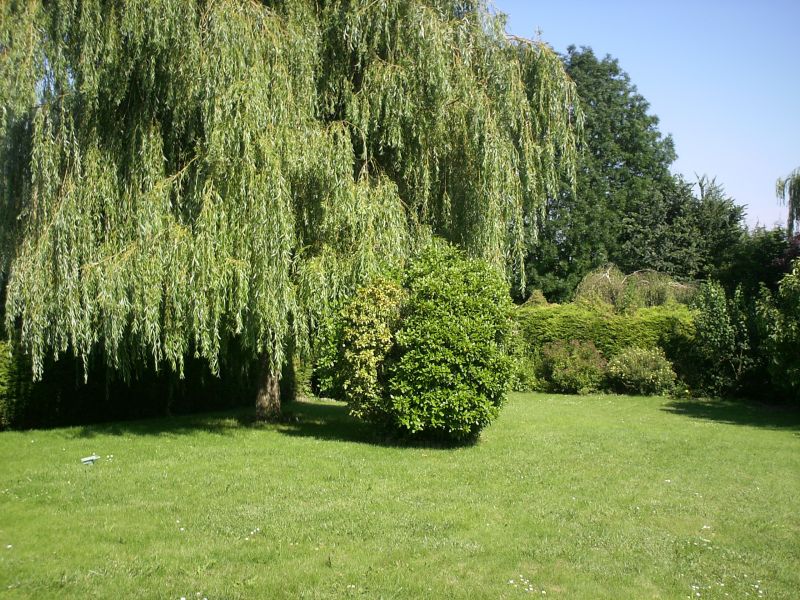 Photo Maison Hénin-beaumont 4 pièce(s) 110 m2 image 2/4