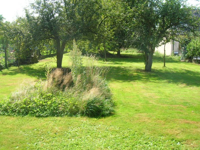 Terrain Leforest 1085 m2