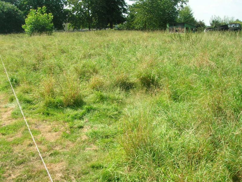 Terrain Ostricourt 715 m2