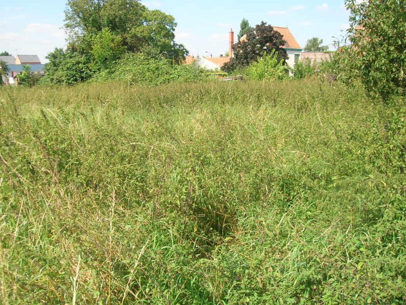 Terrain Ostricourt 619 m2