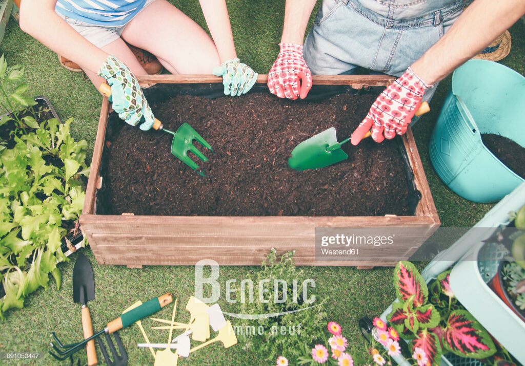Photo Nouveau quartier en réhabilitation - Metz -zone ANRU - TVA5.5.5% et Pinel B1 image 3/5