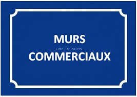 Photo A vendre murs commerciaux loués sur la Zone Actisud de Peltre image 1/5