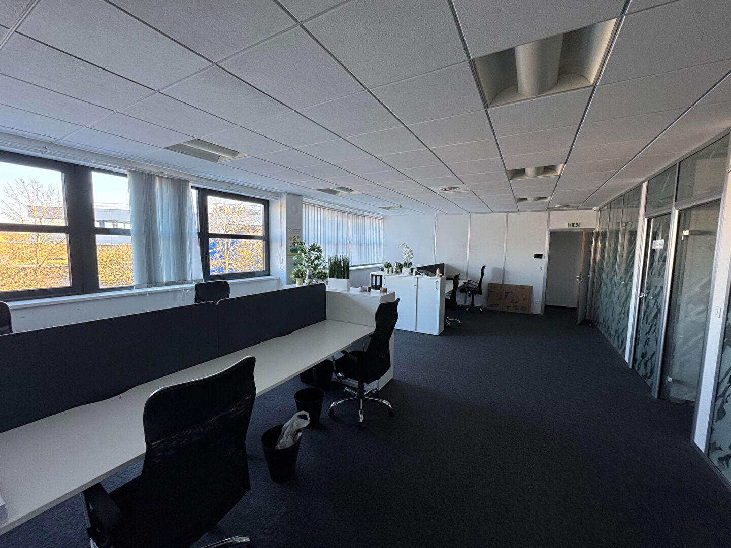 Photo A louer - Bureaux proche Technopole de 167 m² image 3/6