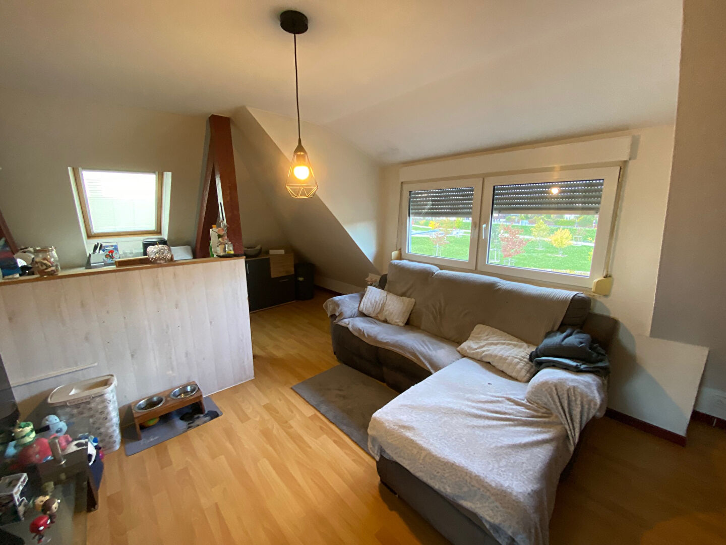 Agence immobilière de Benedic - Alsimmo - Strasbourg